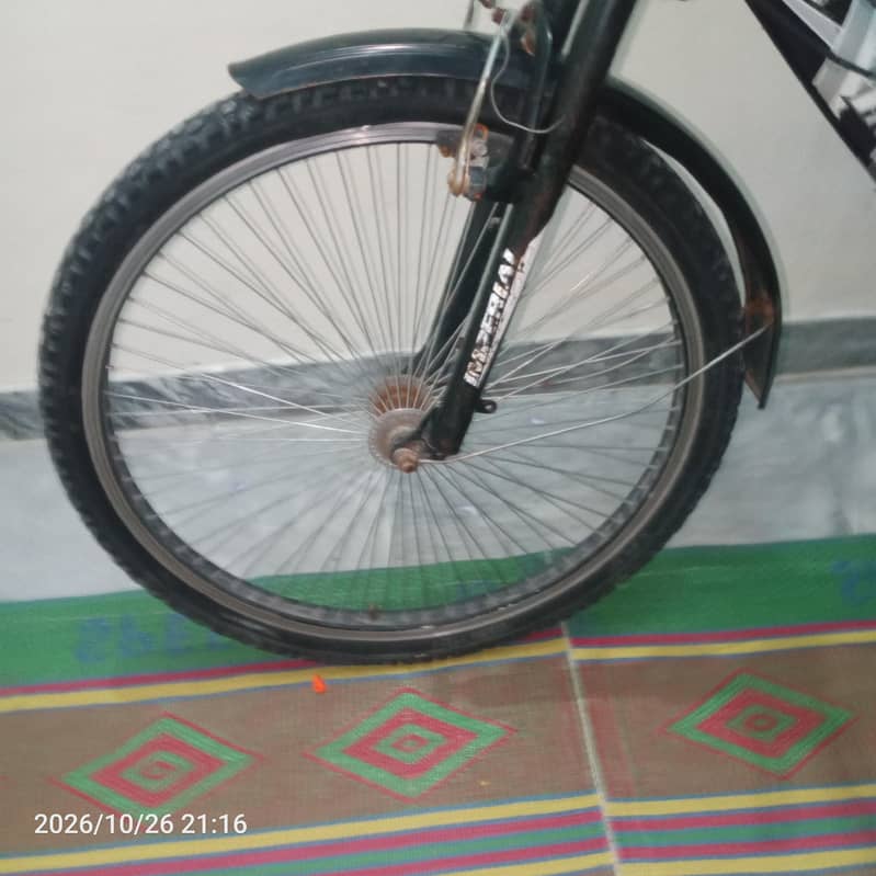 Anything isok cycle 4