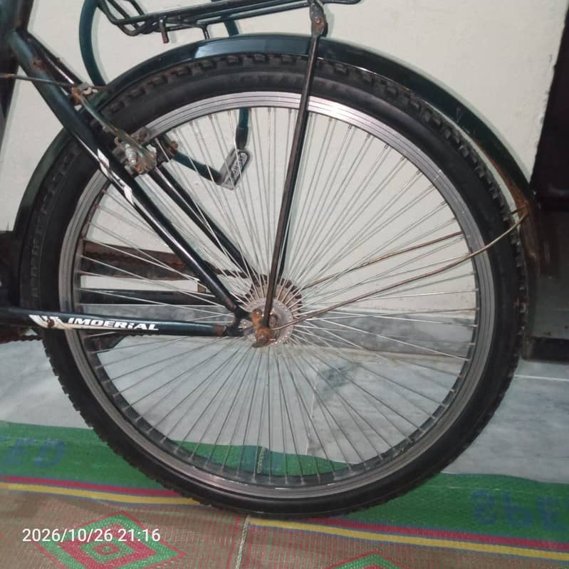 Anything isok cycle 5