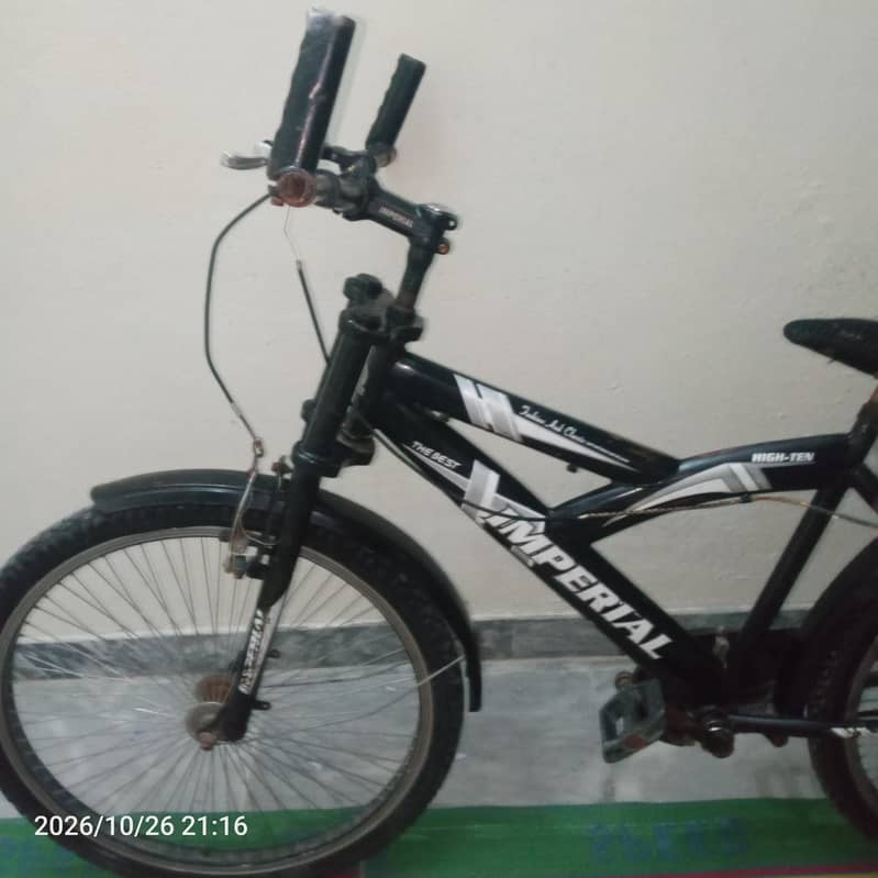 Anything isok cycle 10