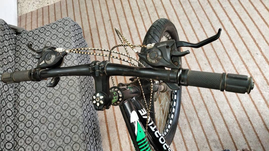 bycycle 1