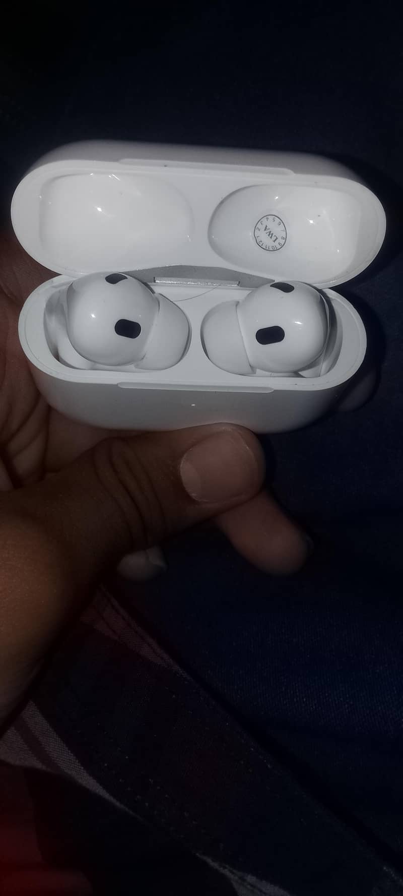 Air Buds 2