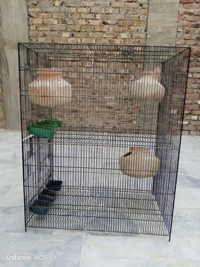 parrots cage