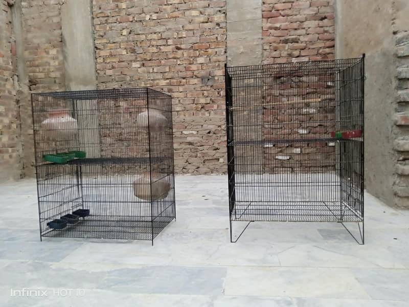 parrots cage 1