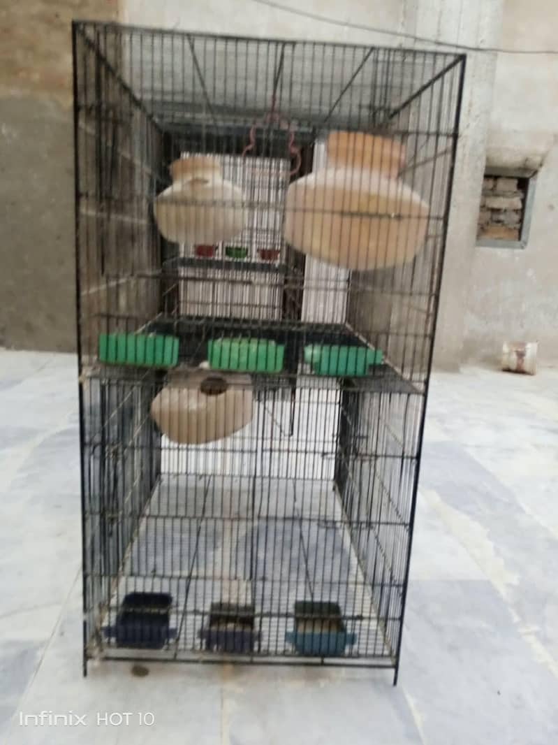 parrots cage 2
