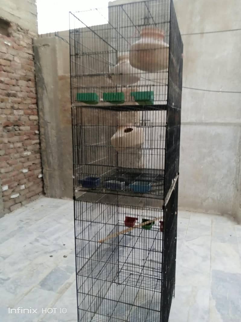 parrots cage 3