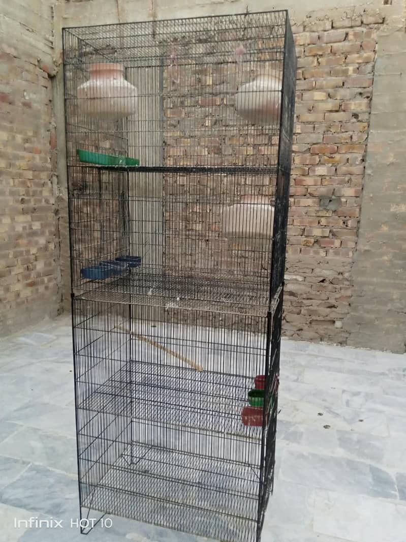 parrots cage 4