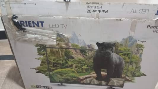 Beautiful LED orient panther 32"