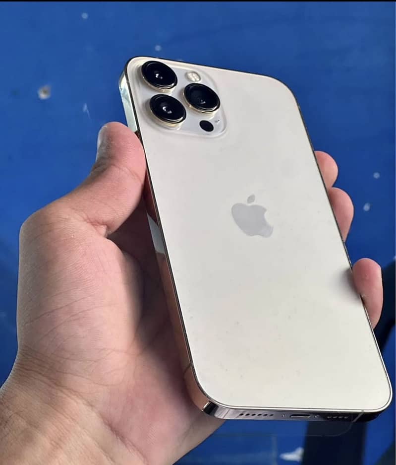 Apple iPhone 13 Pro Max 0
