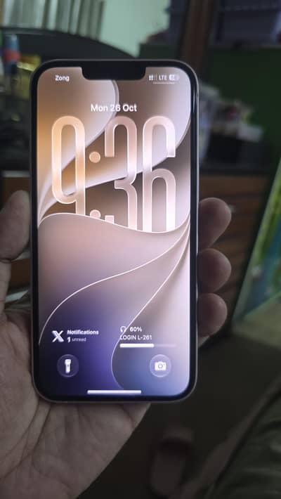 Apple iPhone 13