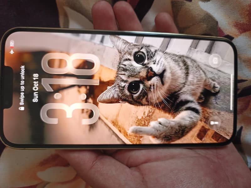 Apple iPhone 13 Pro Max 1