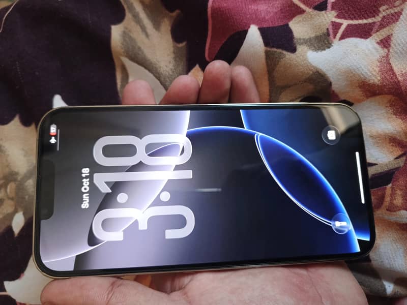 Apple iPhone 13 Pro Max 2
