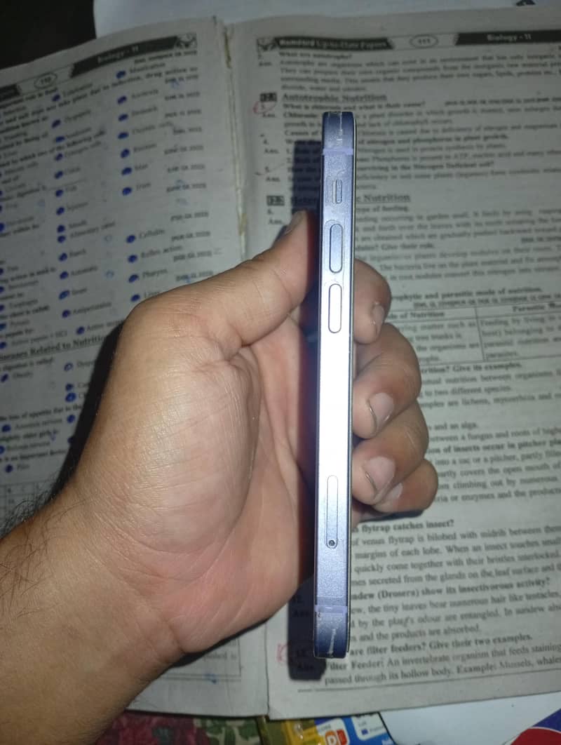 Apple iPhone 12 mini 1