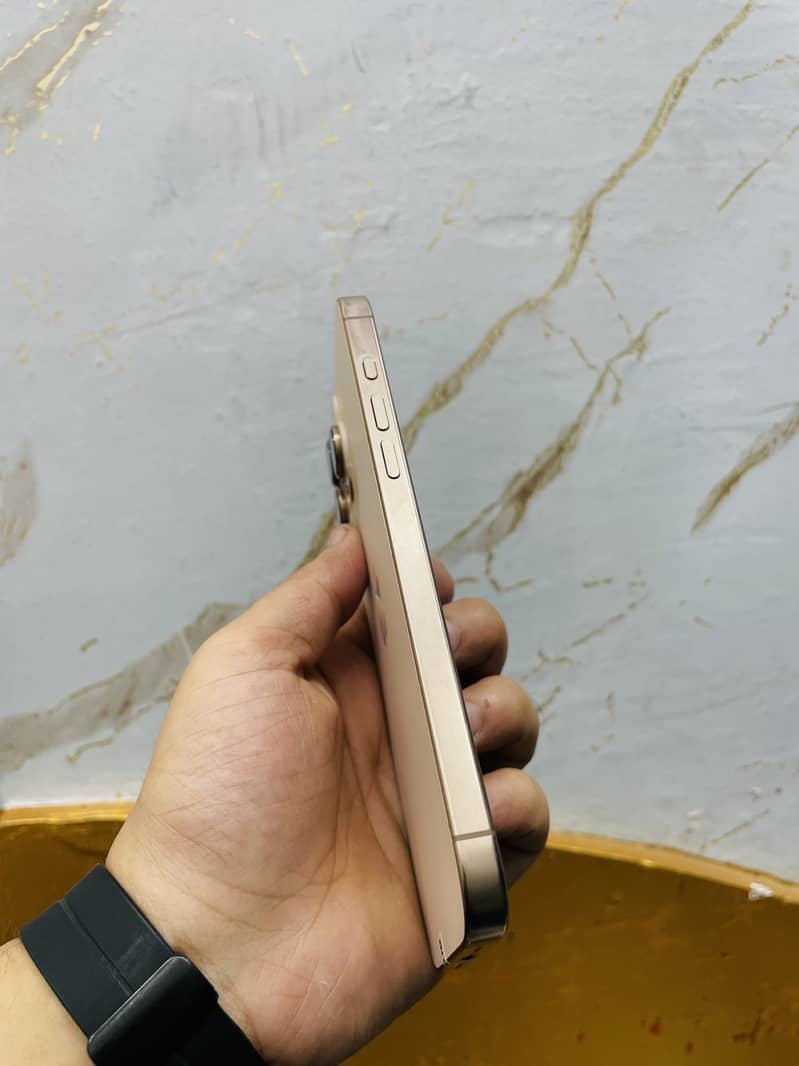 Apple iPhone 16 Pro Max 1