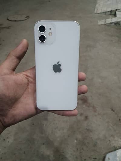 iPhone 12