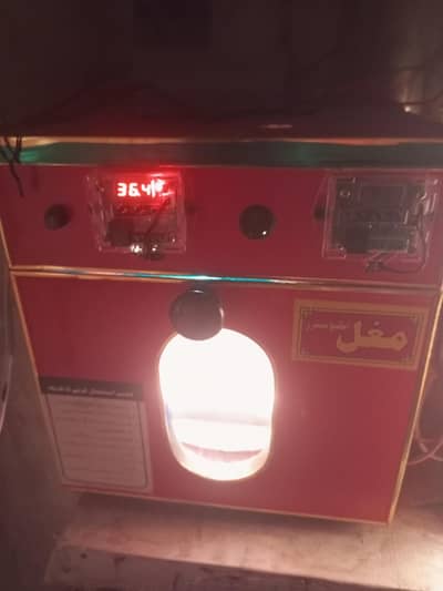 aseel eggs incubator for sale