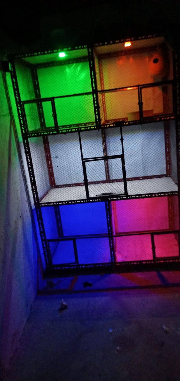 cages 3