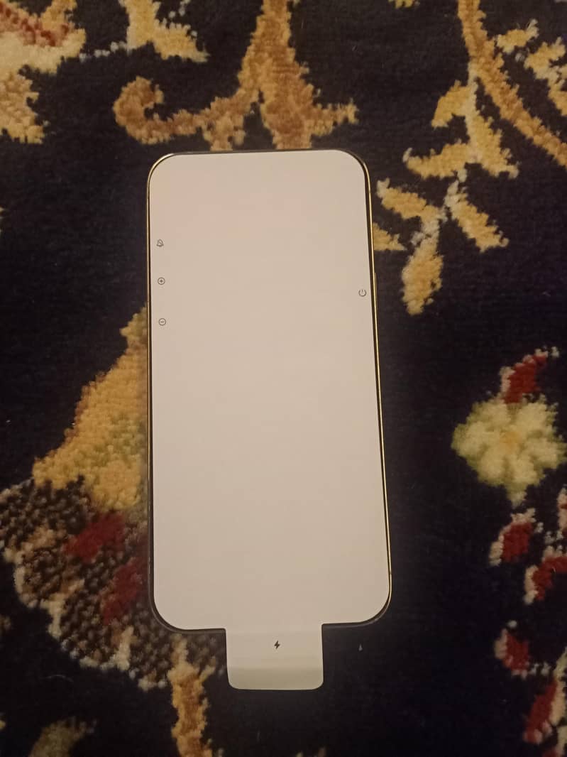iPhone 13 Pro Max 1