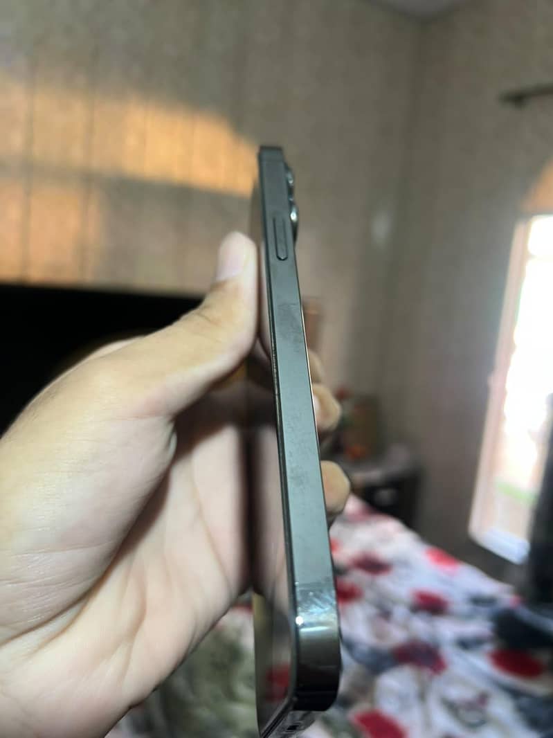 Apple iPhone 13 Pro Max 1