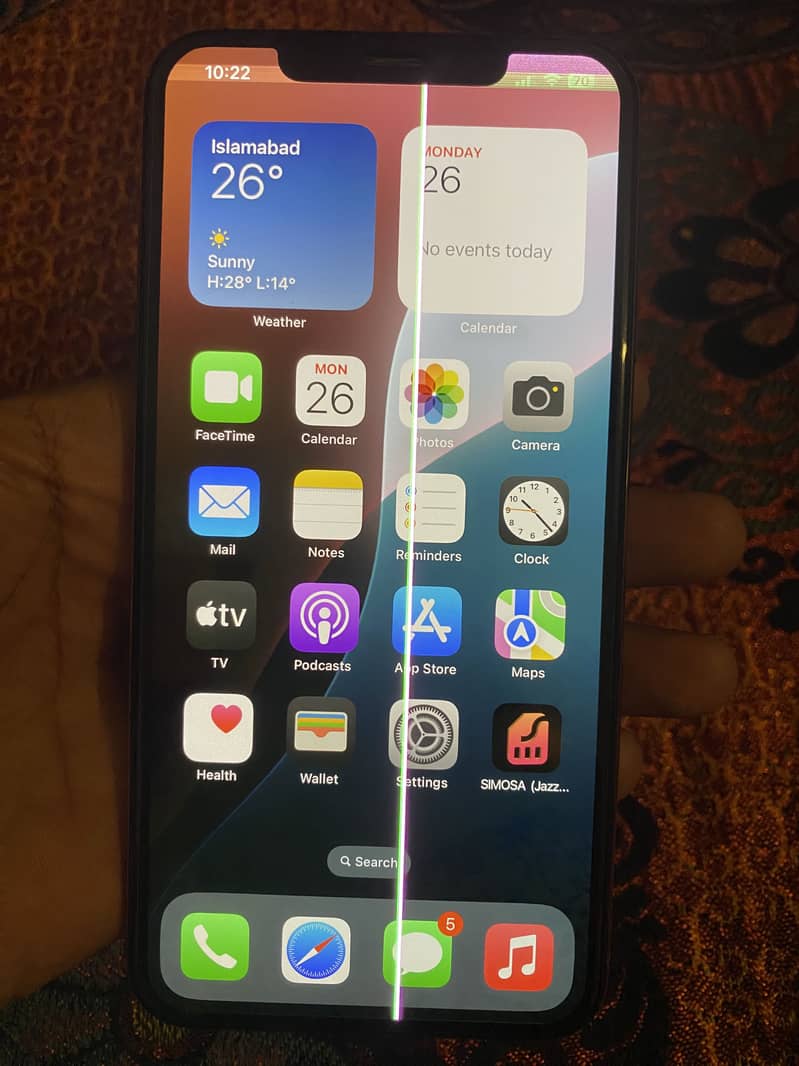 Apple iPhone Xs Max 10/10 2