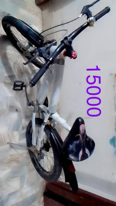Sale of the bicycle