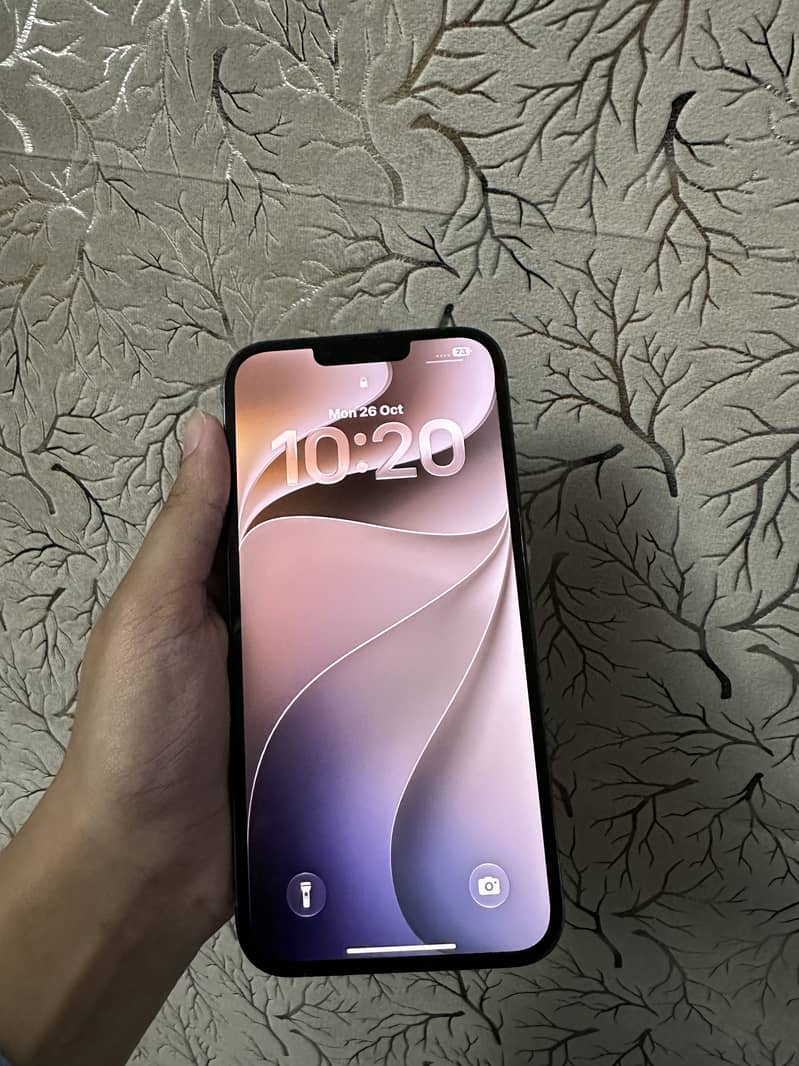 Apple iPhone 13 Pro Max 1