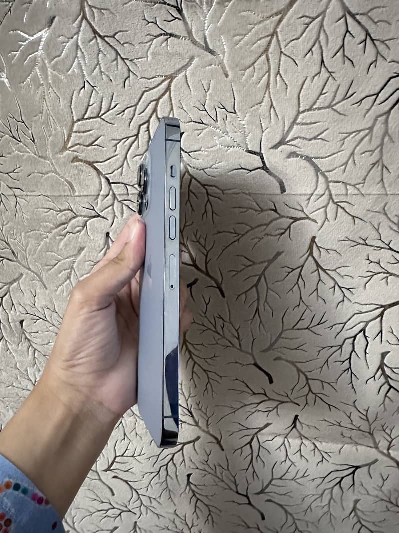 Apple iPhone 13 Pro Max 2
