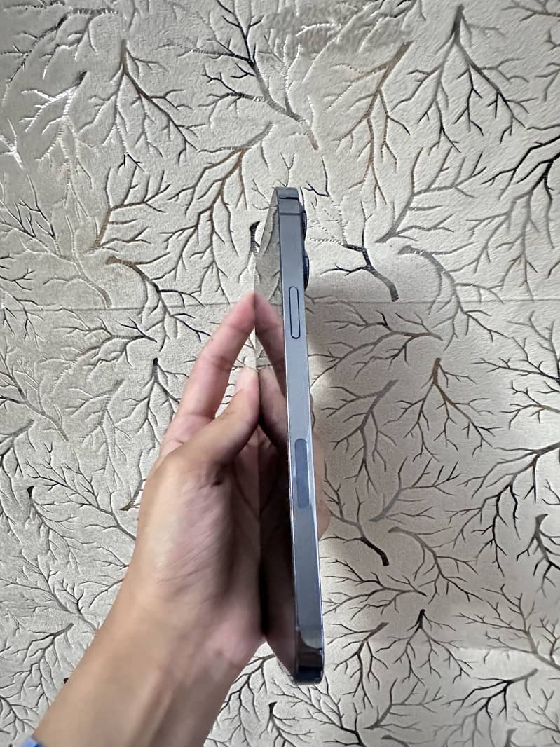Apple iPhone 13 Pro Max 3