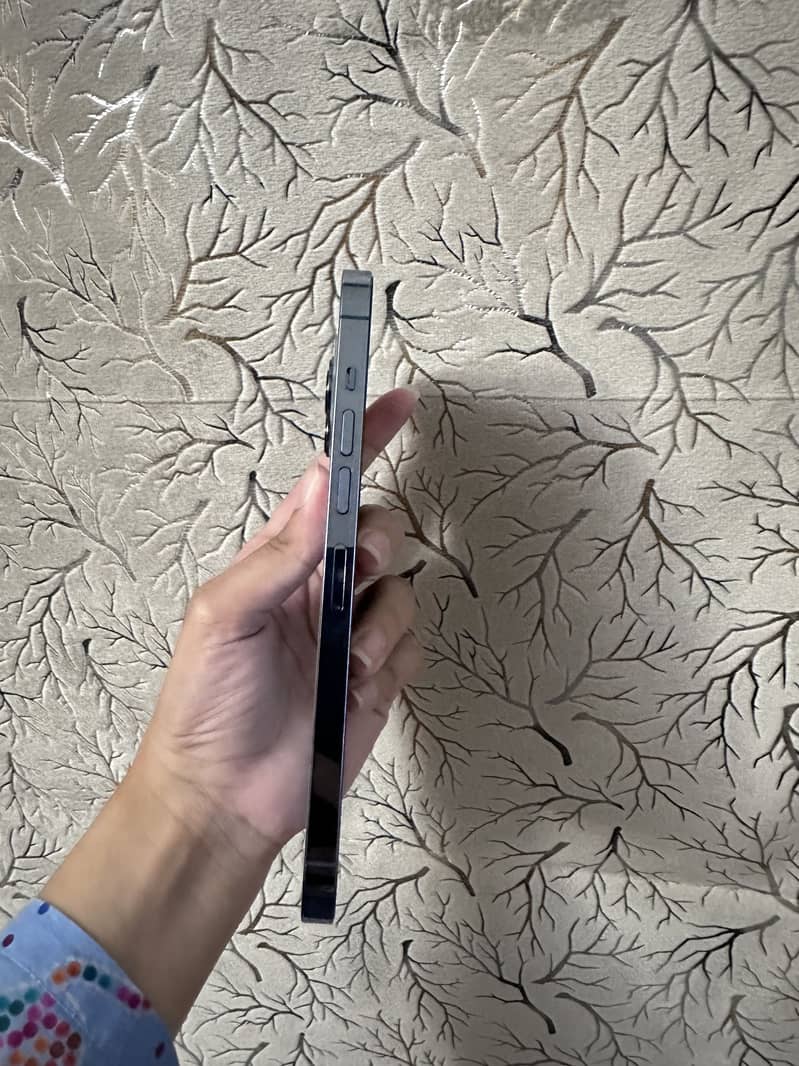 Apple iPhone 13 Pro Max 6