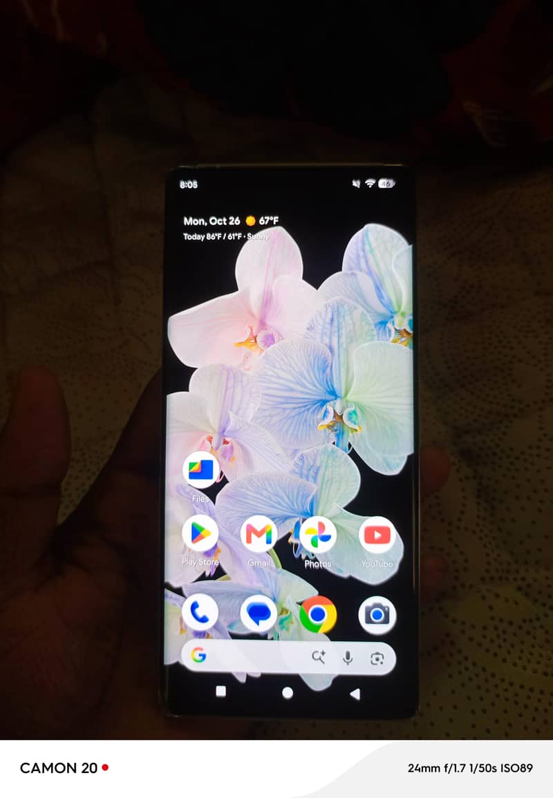 Google Pixel 6 Pro 1