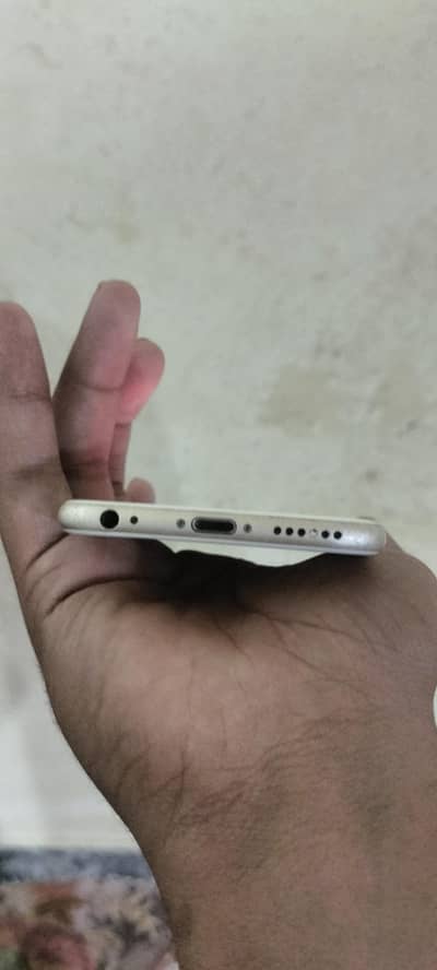 iPhone 6