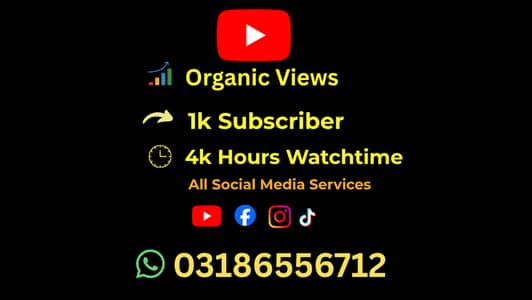 Youtube Subscriber And Growth