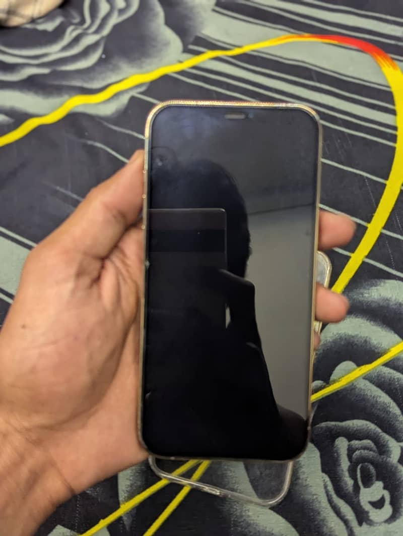 Apple iPhone 12 Pro Max 5