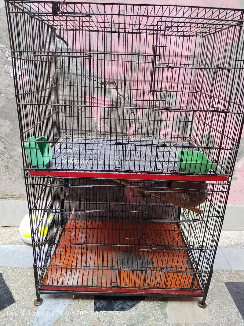 Havey Cage 0