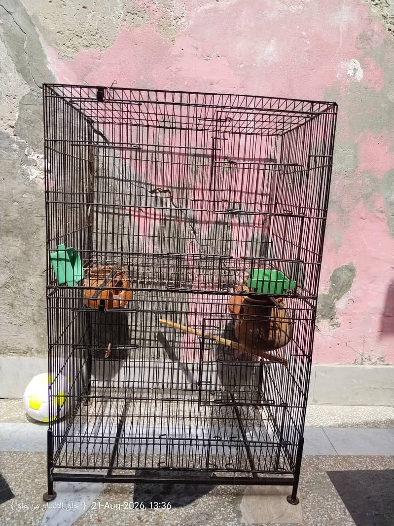 Havey Cage 1