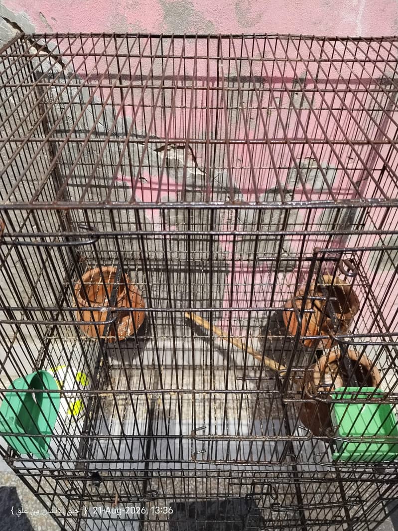 Havey Cage 2