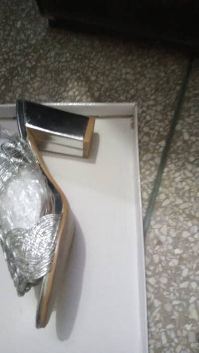 Silver Fancy Shoes