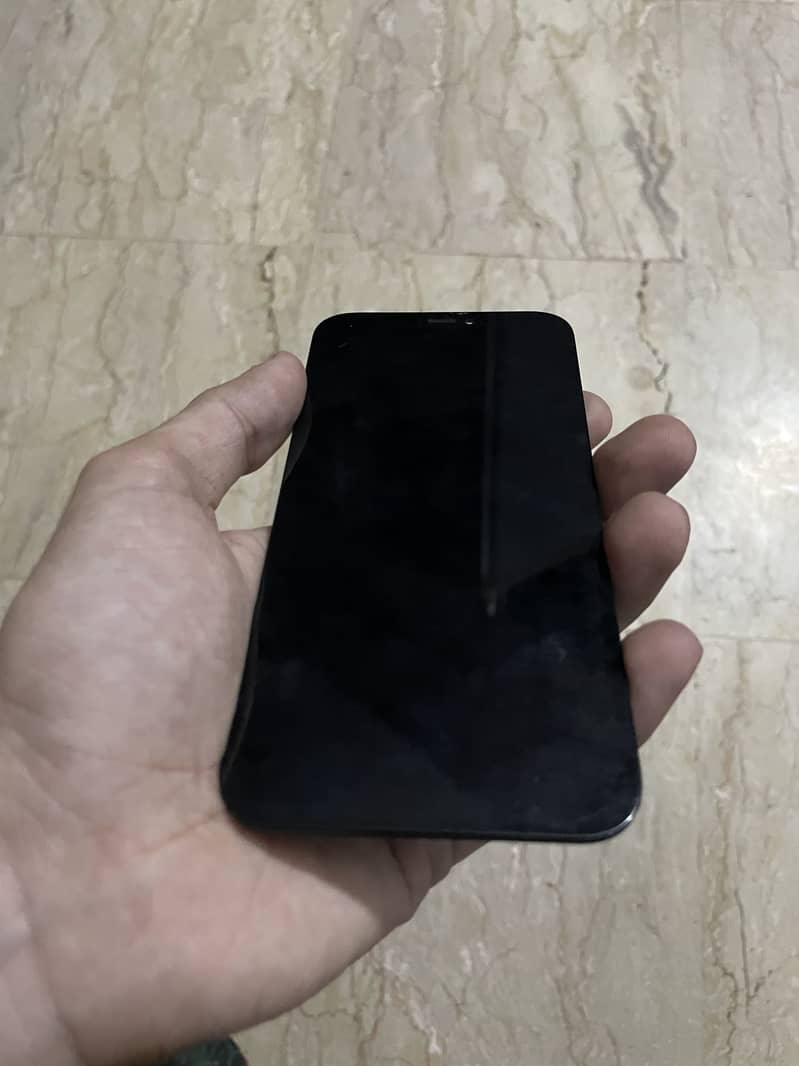 Apple iPhone 12 panel only 0