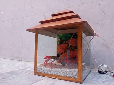 Aquarium for sale