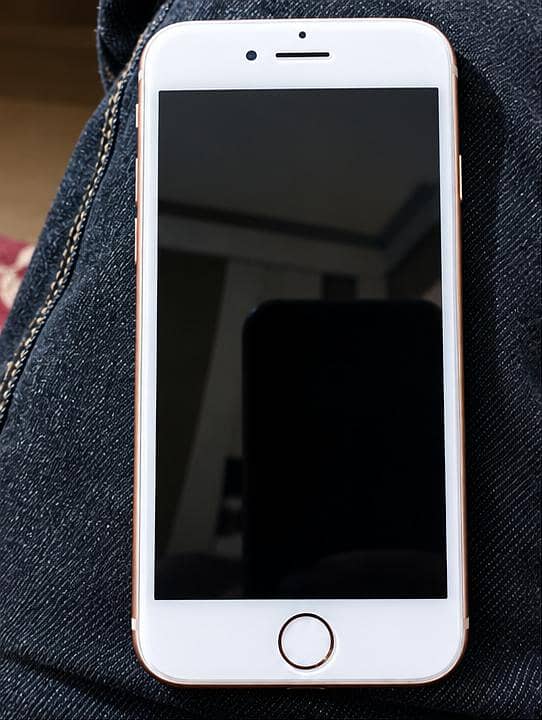 Apple iPhone 8 1