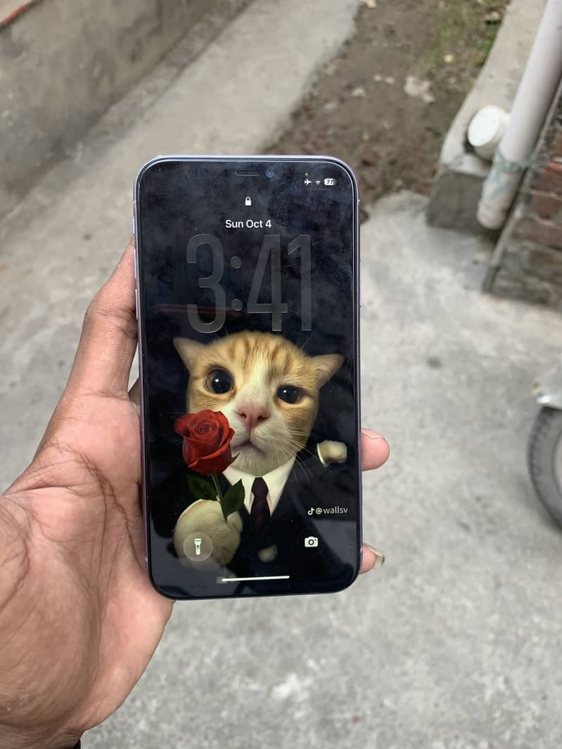 Apple iPhone 11 2