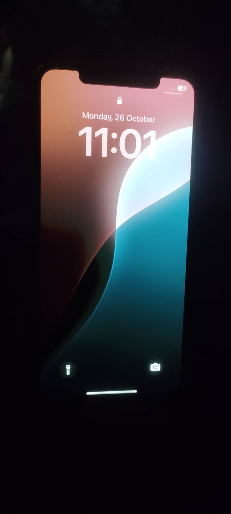 Apple iPhone XS Max 1