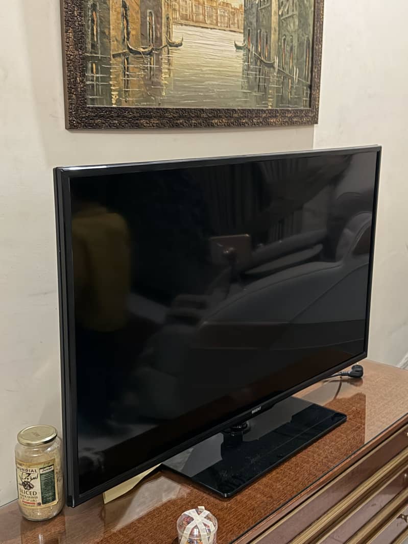 Orient 50” 3
