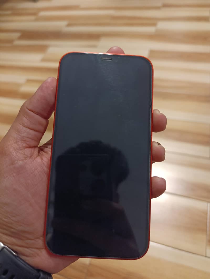 Apple iPhone 12 1