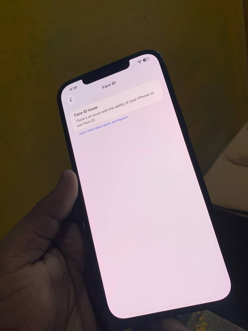 Apple iPhone 12 Pro Max 12