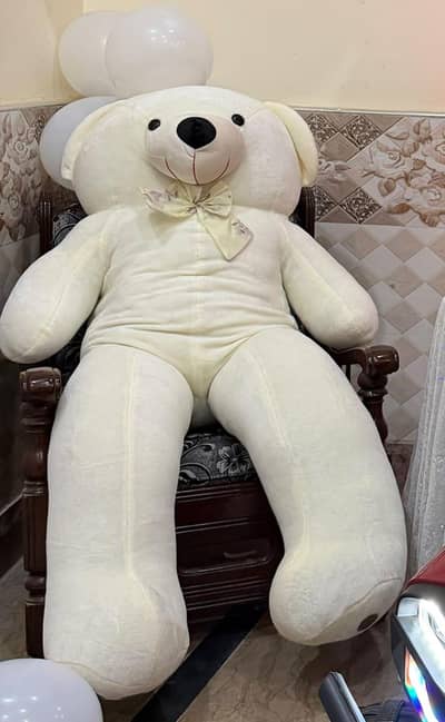 Teddy bear for sale