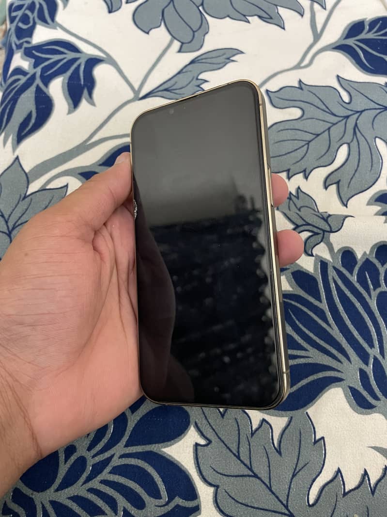 Apple iPhone 13 Pro 2