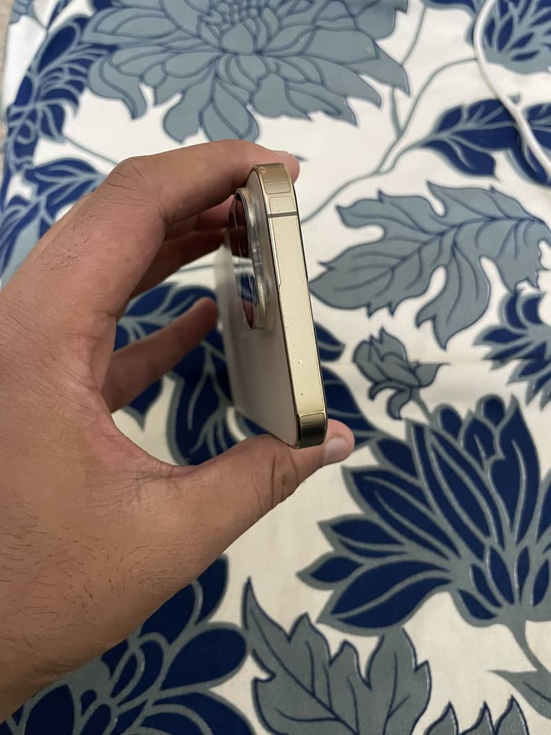 Apple iPhone 13 Pro 4