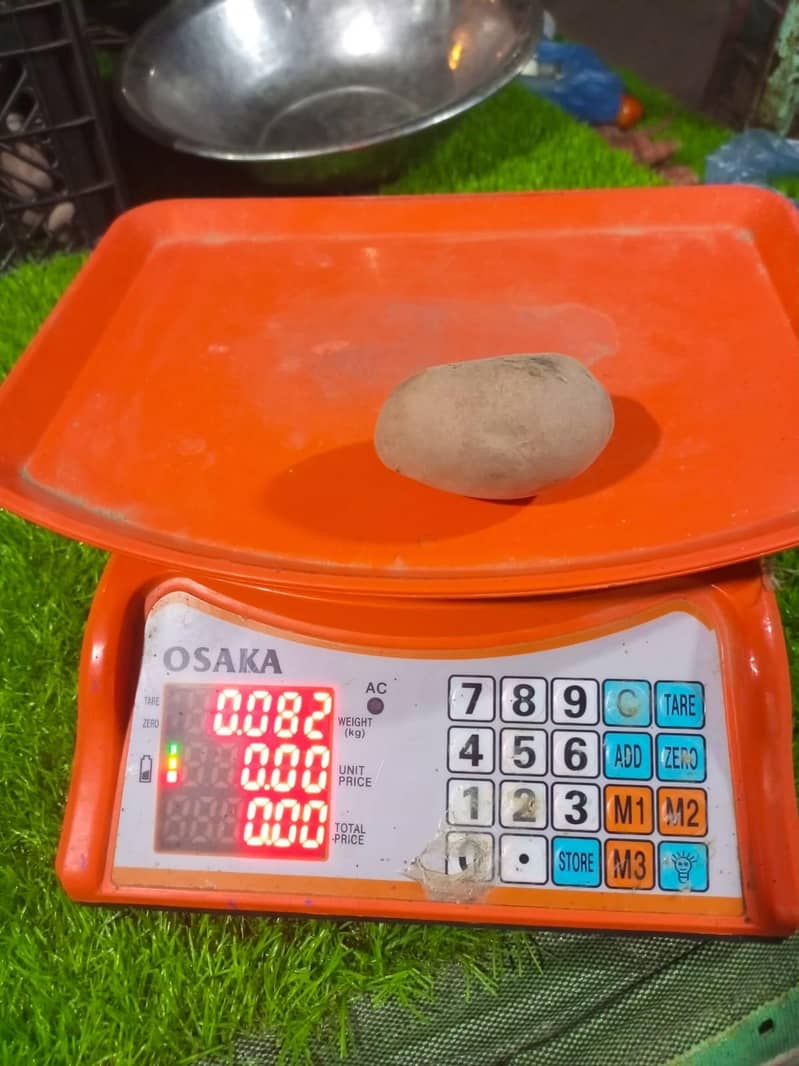 Digital Scale 1