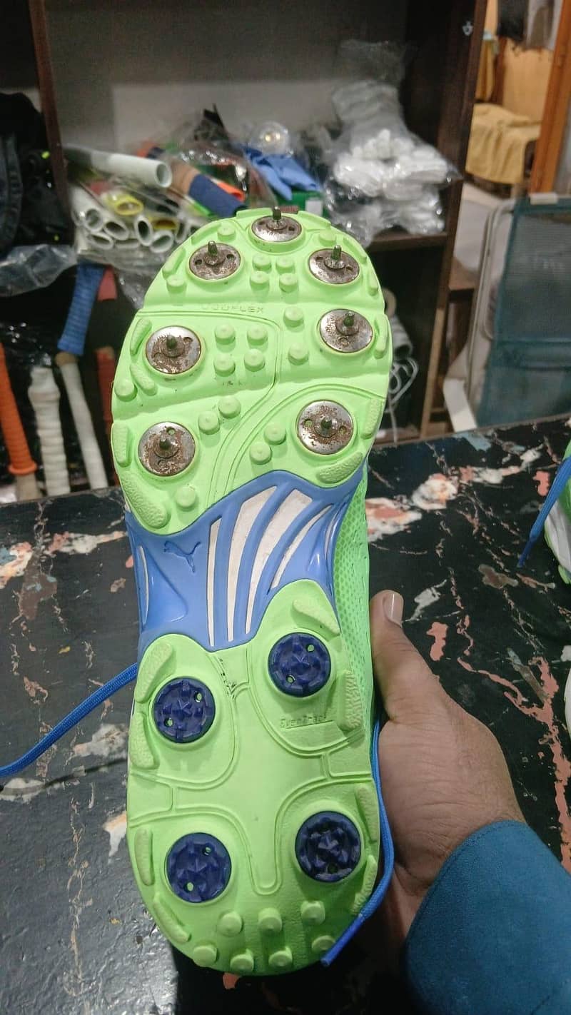puma spkies 1