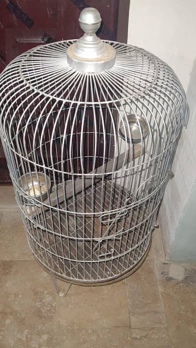 parrot pinjra
